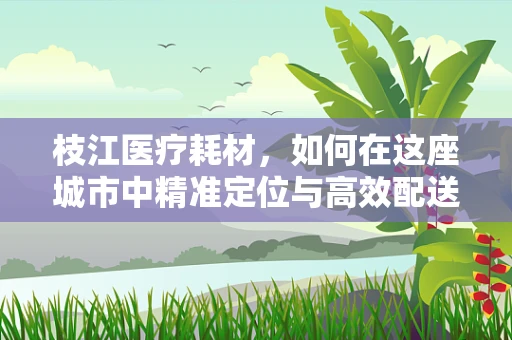 枝江医疗耗材，如何在这座城市中精准定位与高效配送？