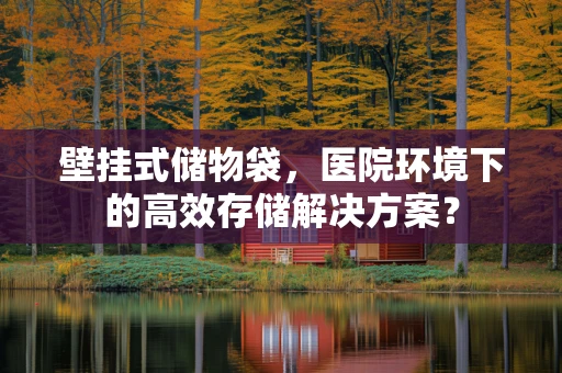 壁挂式储物袋，医院环境下的高效存储解决方案？