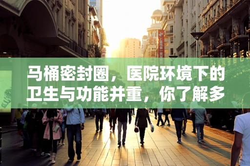 马桶密封圈，医院环境下的卫生与功能并重，你了解多少？