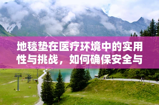 地毯垫在医疗环境中的实用性与挑战，如何确保安全与卫生？