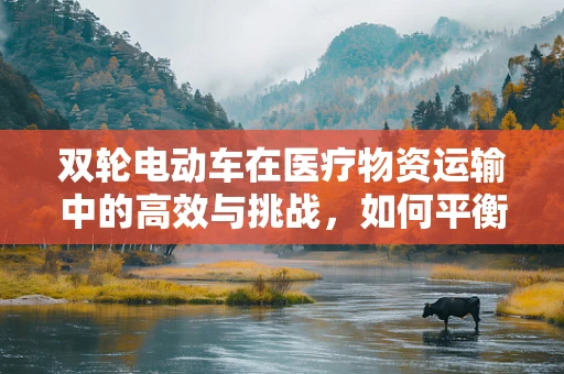 双轮电动车在医疗物资运输中的高效与挑战，如何平衡速度与安全？