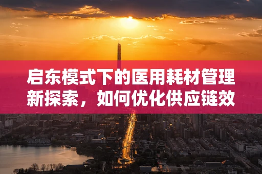 启东模式下的医用耗材管理新探索，如何优化供应链效率？