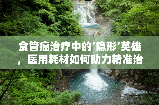 食管癌治疗中的‘隐形’英雄，医用耗材如何助力精准治疗？