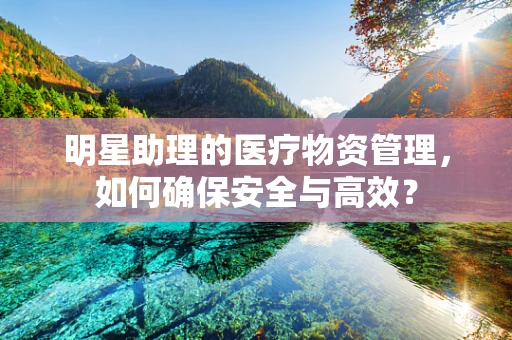 明星助理的医疗物资管理，如何确保安全与高效？