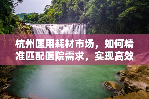 杭州医用耗材市场，如何精准匹配医院需求，实现高效供应？