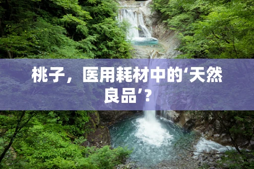 桃子，医用耗材中的‘天然良品’？