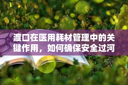渡口在医用耗材管理中的关键作用，如何确保安全过河？