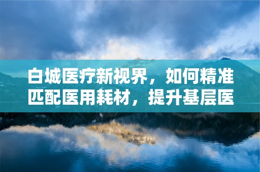 白城医疗新视界，如何精准匹配医用耗材，提升基层医疗质量？