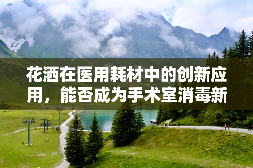 花洒在医用耗材中的创新应用，能否成为手术室消毒新宠？