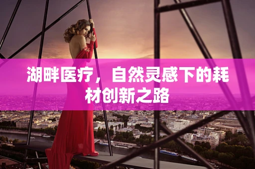 湖畔医疗，自然灵感下的耗材创新之路