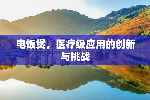 电饭煲，医疗级应用的创新与挑战