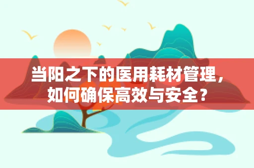 当阳之下的医用耗材管理，如何确保高效与安全？