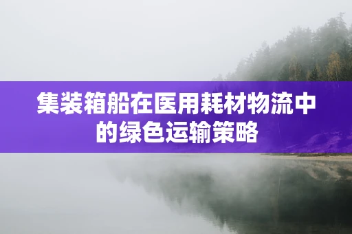 集装箱船在医用耗材物流中的绿色运输策略