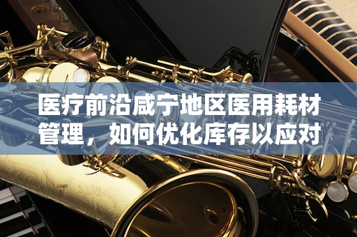 医疗前沿咸宁地区医用耗材管理，如何优化库存以应对紧急需求？