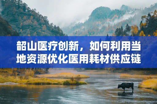 韶山医疗创新，如何利用当地资源优化医用耗材供应链？