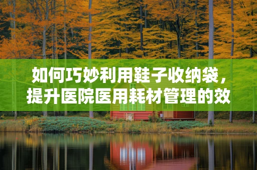 如何巧妙利用鞋子收纳袋，提升医院医用耗材管理的效率？