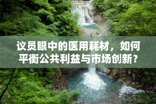 议员眼中的医用耗材，如何平衡公共利益与市场创新？