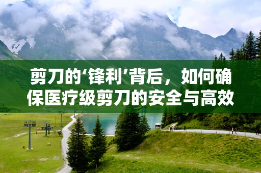 剪刀的‘锋利’背后，如何确保医疗级剪刀的安全与高效使用？