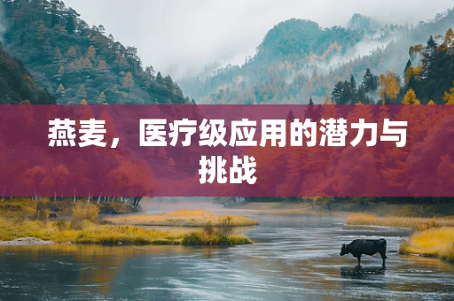 燕麦，医疗级应用的潜力与挑战