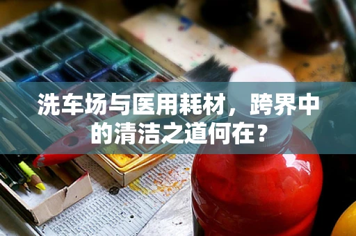 洗车场与医用耗材，跨界中的清洁之道何在？