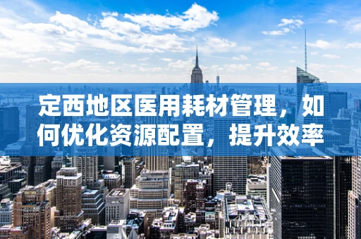 定西地区医用耗材管理，如何优化资源配置，提升效率？