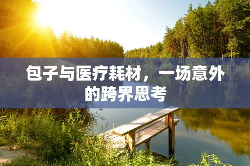包子与医疗耗材，一场意外的跨界思考
