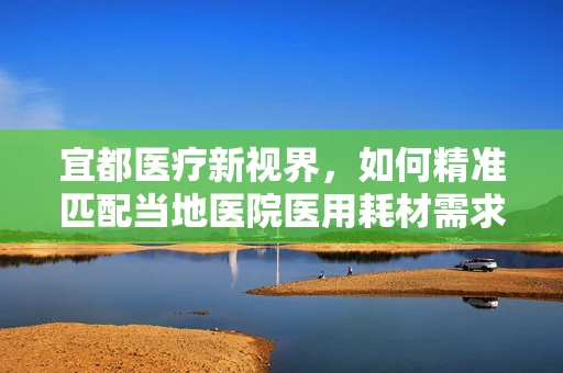 宜都医疗新视界，如何精准匹配当地医院医用耗材需求？