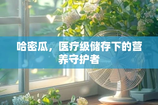 哈密瓜，医疗级储存下的营养守护者
