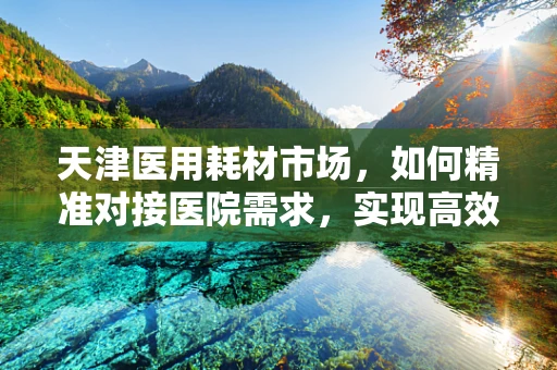 天津医用耗材市场，如何精准对接医院需求，实现高效采购？