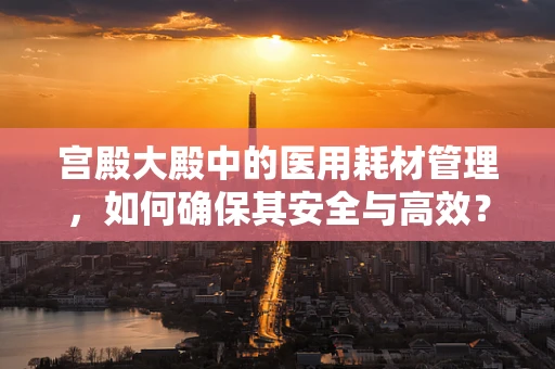 宫殿大殿中的医用耗材管理，如何确保其安全与高效？