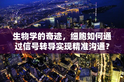 生物学的奇迹，细胞如何通过信号转导实现精准沟通？