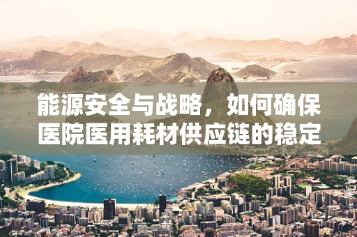 能源安全与战略，如何确保医院医用耗材供应链的稳定与高效？
