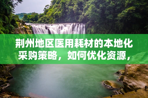 荆州地区医用耗材的本地化采购策略，如何优化资源，提升效率？