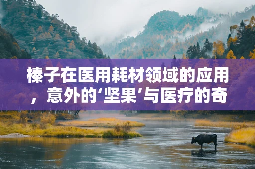 榛子在医用耗材领域的应用，意外的‘坚果’与医疗的奇妙结合