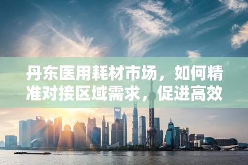 丹东医用耗材市场，如何精准对接区域需求，促进高效采购？