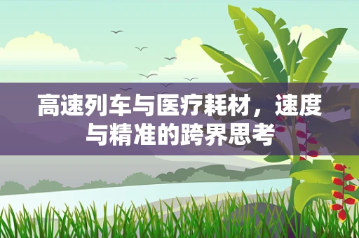 高速列车与医疗耗材，速度与精准的跨界思考