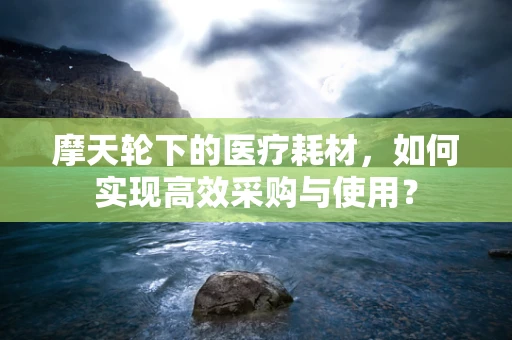 摩天轮下的医疗耗材，如何实现高效采购与使用？
