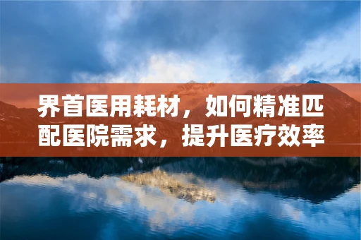 界首医用耗材，如何精准匹配医院需求，提升医疗效率？