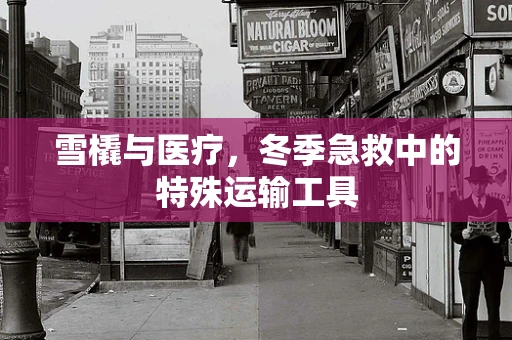 雪橇与医疗，冬季急救中的特殊运输工具