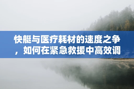 快艇与医疗耗材的速度之争，如何在紧急救援中高效调配？