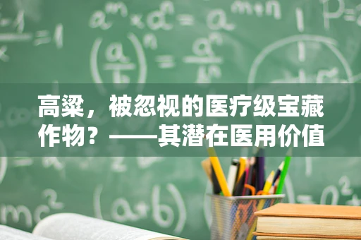 高粱，被忽视的医疗级宝藏作物？——其潜在医用价值揭秘