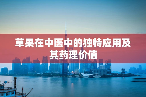 草果在中医中的独特应用及其药理价值