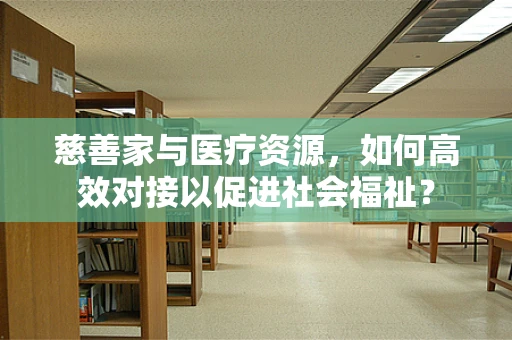 慈善家与医疗资源，如何高效对接以促进社会福祉？