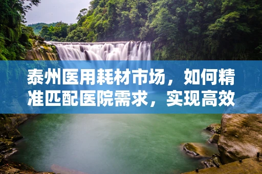 泰州医用耗材市场，如何精准匹配医院需求，实现高效采购？