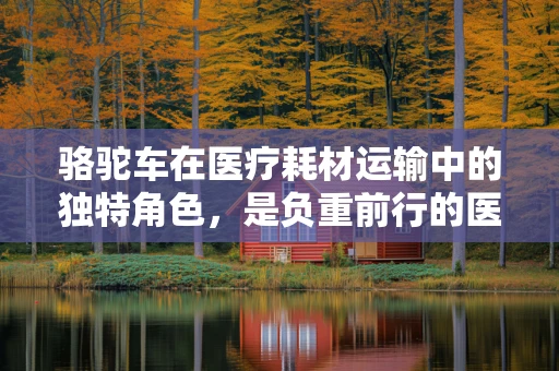 骆驼车在医疗耗材运输中的独特角色，是负重前行的医疗物流‘骆驼’吗？