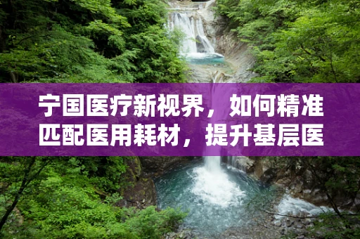 宁国医疗新视界，如何精准匹配医用耗材，提升基层医院效能？