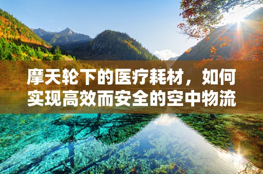 摩天轮下的医疗耗材，如何实现高效而安全的空中物流？