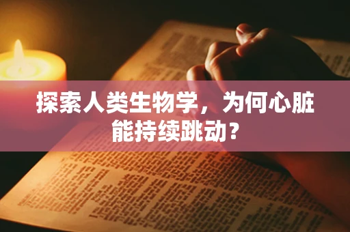 探索人类生物学，为何心脏能持续跳动？