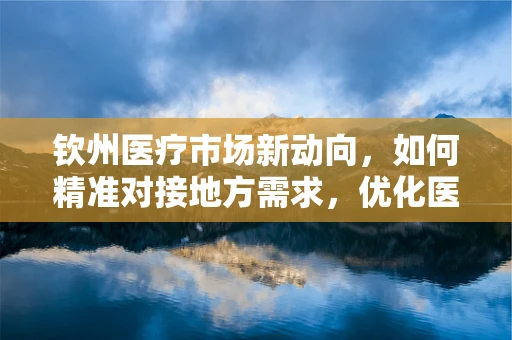 钦州医疗市场新动向，如何精准对接地方需求，优化医用耗材供应策略？