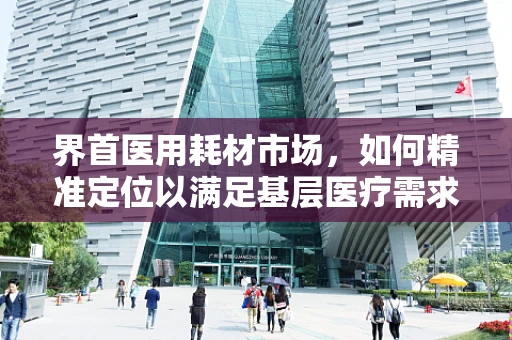 界首医用耗材市场，如何精准定位以满足基层医疗需求？